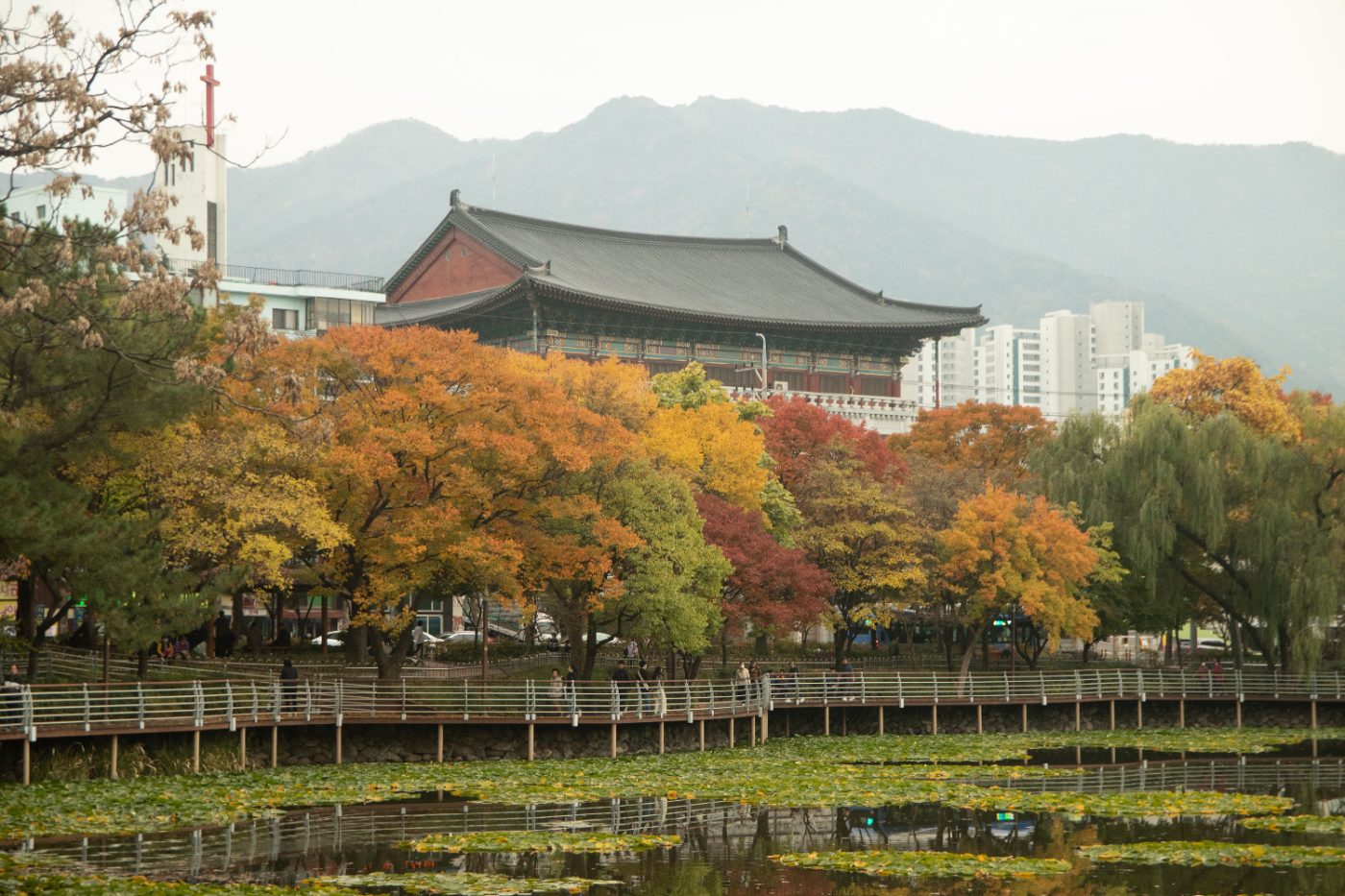 Captivating autumn scene in Daegu, featuring traditional hanok architecture and colorful foliage.
