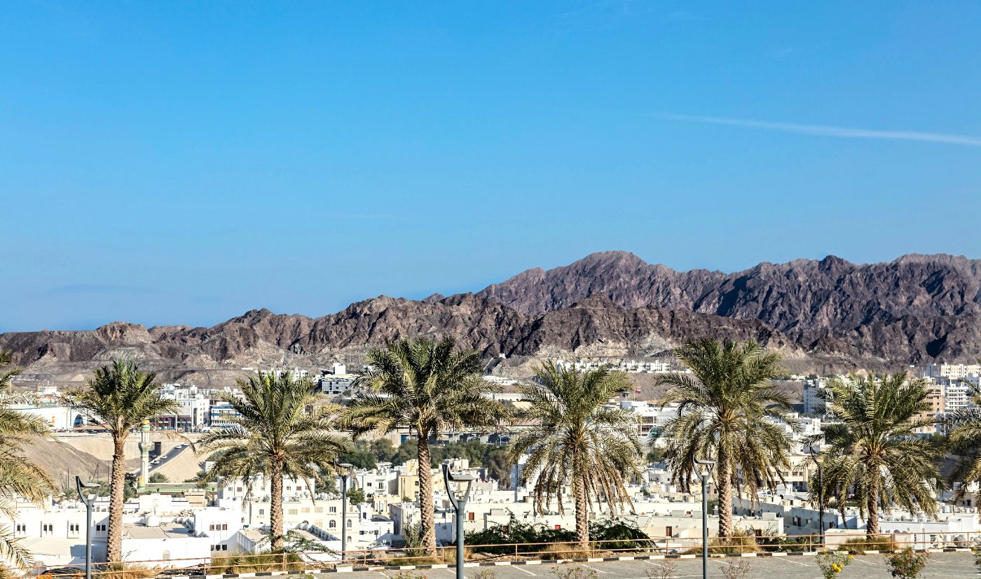 Desert mountains and palm trees under a vibrant blue sky.